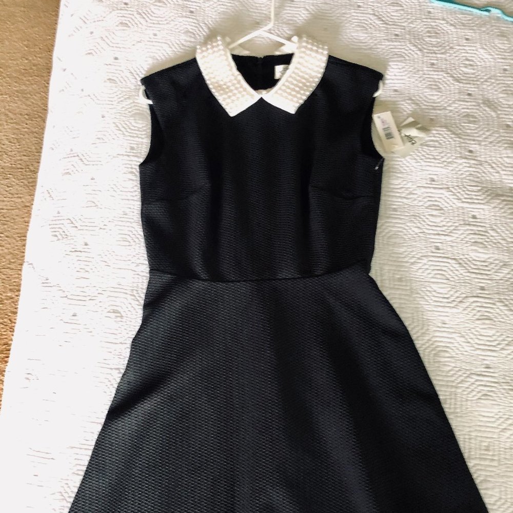 Eliza J. Pearl Collared Black Dress